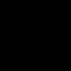 Meet your Posher, Antonio